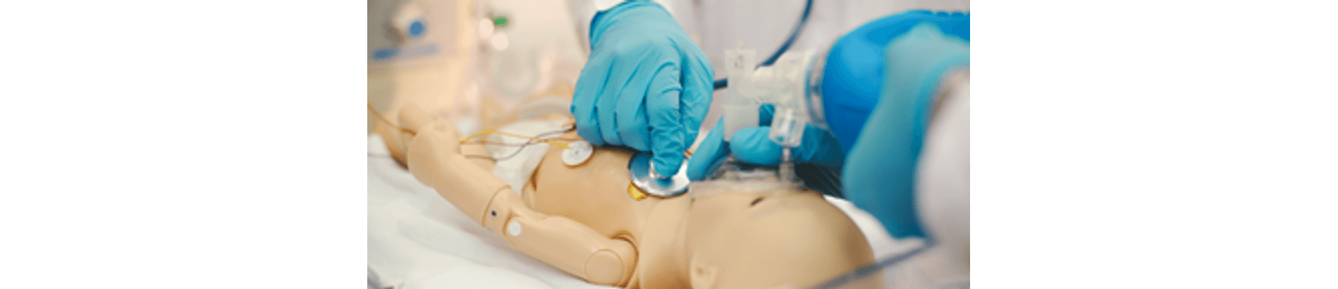 300x144_pals 300x144_pals