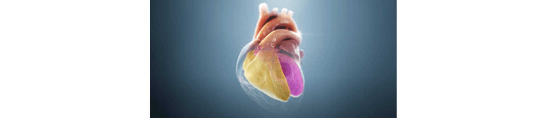 300x144_eco-strain 300x144_eco-strain