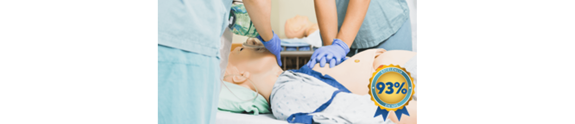 300x144_acls-renov_NPS93--1- 300x144_acls-renov_NPS93--1-