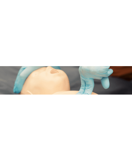 1920x415_pals-renovacao