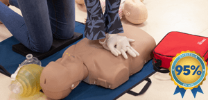 bls_vitrine_nps95--1-