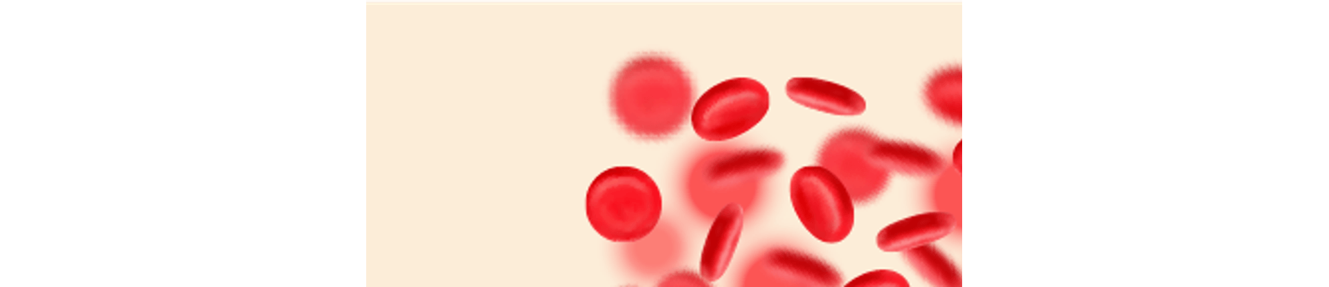 PBM_300x144--sem-texto PBM_300x144--sem-texto