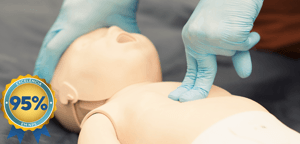 pals-renov_vitrine_nps95--1-