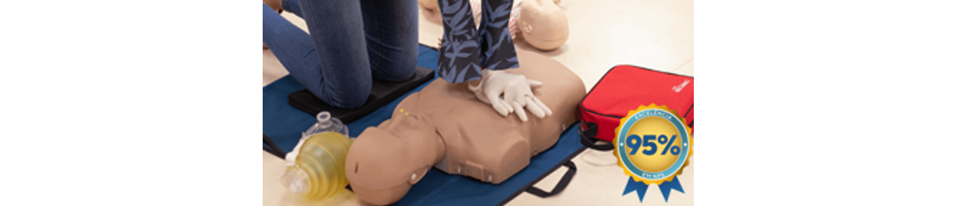 bls_vitrine_nps95--1-