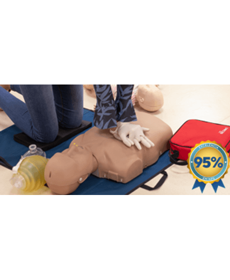 bls_vitrine_nps95--1-