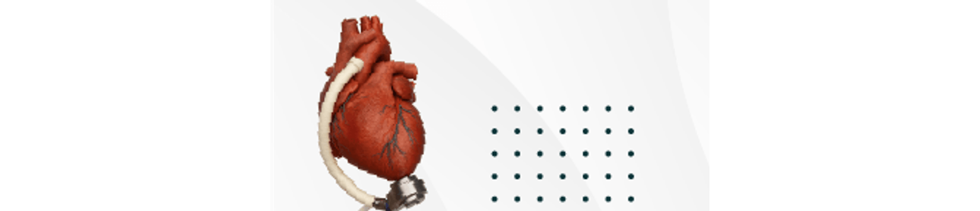 5_Capa-de-CursoEvento-mobile-300X144