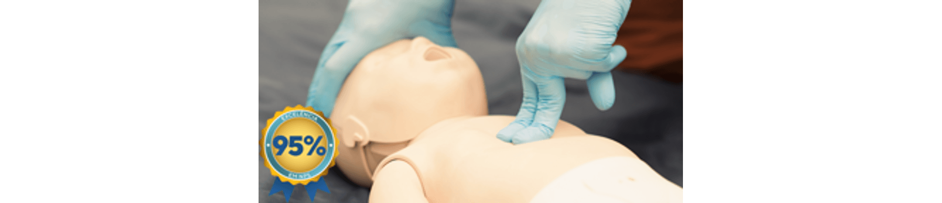 pals-renov_vitrine_nps95