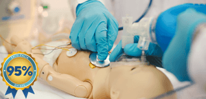 pals_vitrine_nps95--1-