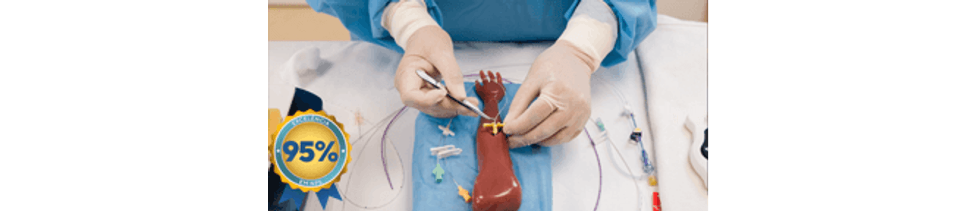 picc_vitrine_nps95--1-