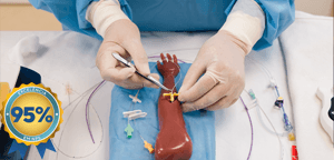 picc_vitrine_nps95--1-