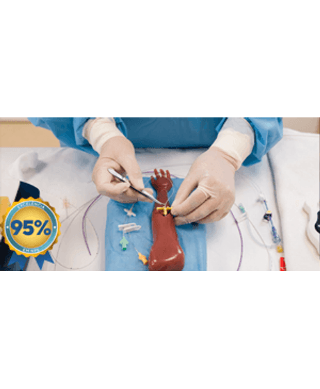 picc_vitrine_nps95--1-